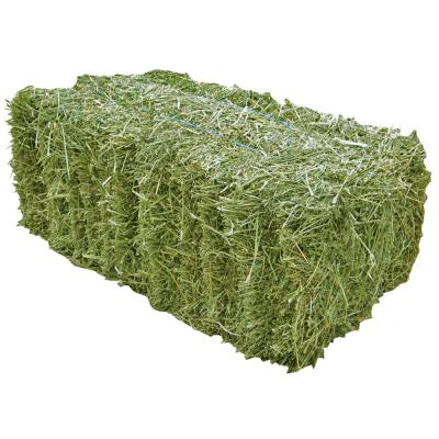 Timothy Hay Large Square Bale 3 Ft x 3 Ft. x 7 Ft.
