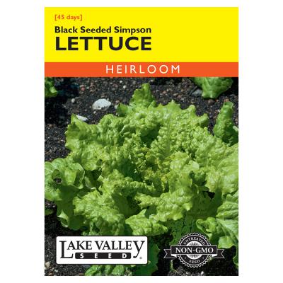 Lake Valley Seed Lettuce Black Seeded Simpson