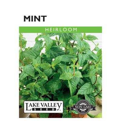 Lake Valley Seed Mint