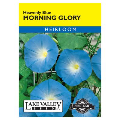 Lake Valley Seed Morning Glory Heavenly Blue