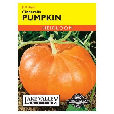 Lake Valley Seed Pumpkin Cindarella