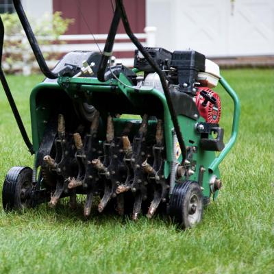Landscaping Aeration/Overseed (10,000 sq. ft.)