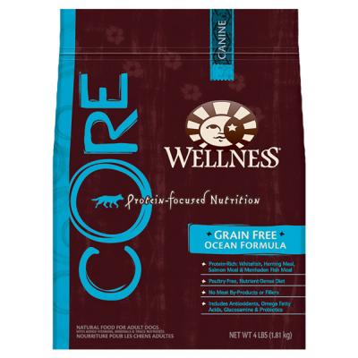 Wellness Core Ocean 22 lb.