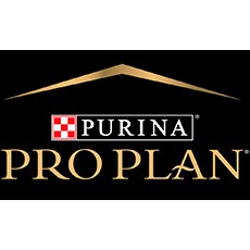 Brand - Pro Plan