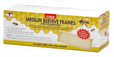 Beekeeping 5 Pack Medium Beehive Frames