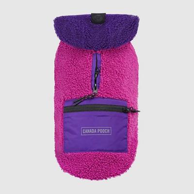 Canada Pooch Dog Jacket Cool Factor Hoodie Pink/Purple 20 In.