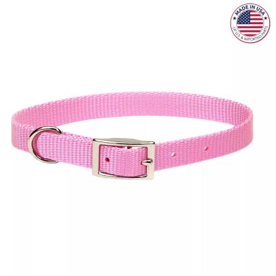 Coastal Single Ply Nylon Dog Collar Bright Pink