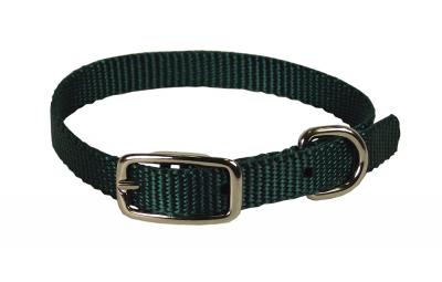 Nylon Dog Collar 3/8 X 12 In Hunter Green