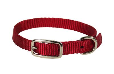 Nylon Dog Collar 3/8 X 12 In Red