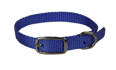 Nylon Dog Collar 3/8 X 12 In Blue
