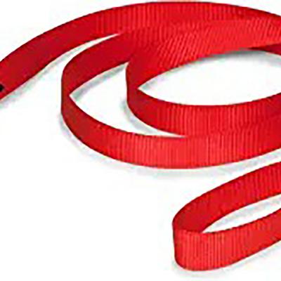 Nylon Dog Leash 5/8 in. x  6 ft. Red