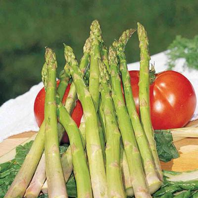 Ferry Morse Vegetable Seeds Asparagus Mary Washington Sow Easy 70 Seeds