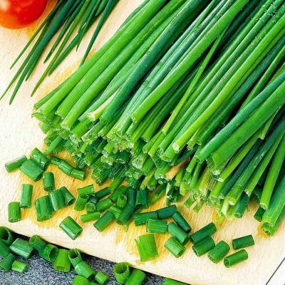 Ferry Morse Herb Seeds Chives Garlic 500 MG