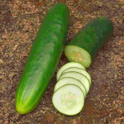 Ferry Morse Vegetable Seeds Cucumber Straight Eight Heirloom Variety 1 G