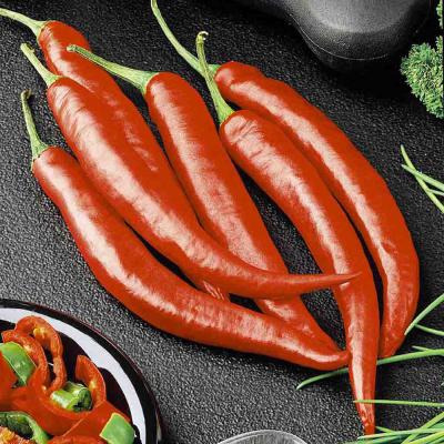 Ferry Morse Vegetable Seeds Pepper Long Thin Cayenne 700 MG