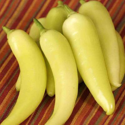 Ferry Morse Vegetable Seeds Pepper Sweet Banana 700 MG