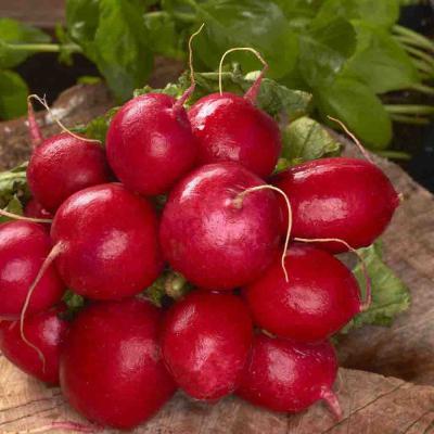 Ferry Morse Vegetable Seeds Radish Cherry Belle 2.2 G
