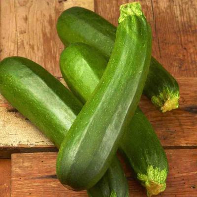 Ferry Morse Vegetable Seeds Squash Dark Green Zucchini 4.25 G