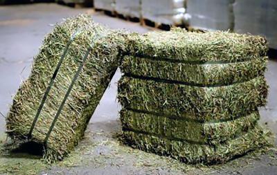 TIMOTHY GRASS HAY 2ND CUT 40 lb. COMPRESSED