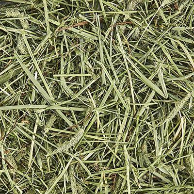 Bag of Timothy Hay Extra Large
