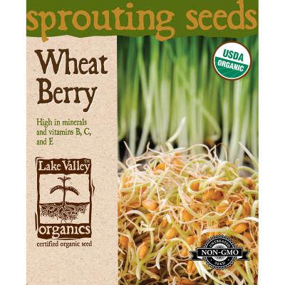 Lake Valley Seed Organic Sprouting Wheat Berry