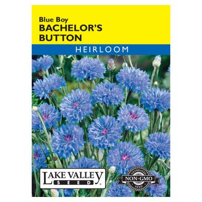 Lake Valley Seed Bachelors Button Blue Boy