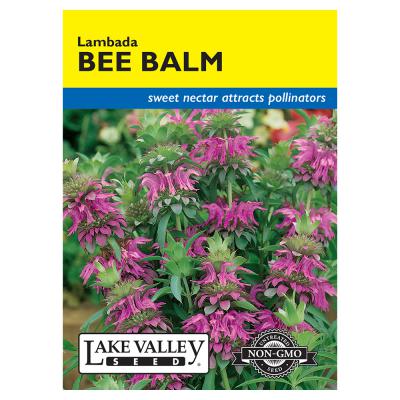 Lake Valley Seed Bee Balm