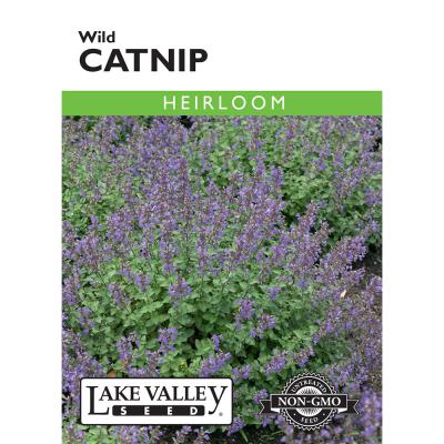 Lake Valley Seed Catnip Wild