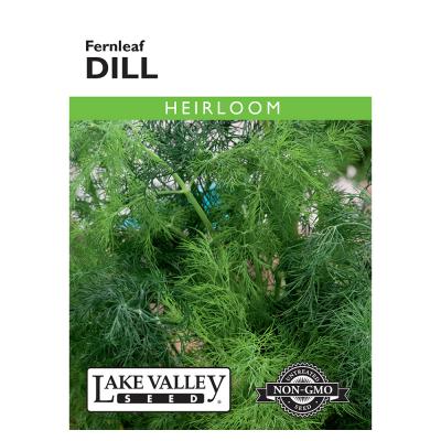 Lake Valley Seed Dill Fernleaf