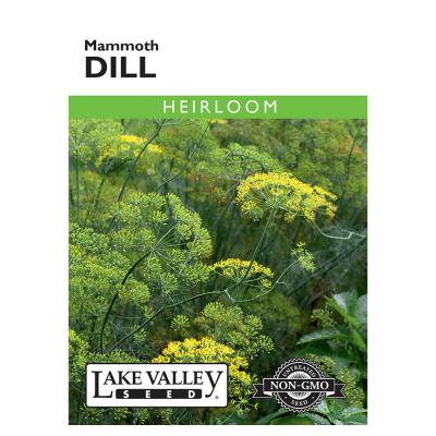 Lake Valley Seed Dill Mammoth
