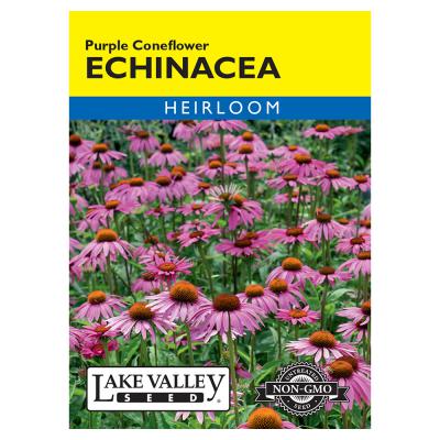 Lake Valley Seed Echinacea Purple Coneflower