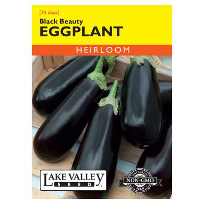 Lake Valley Seed Eggplant Black Beauty