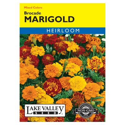 Lake Valley Seed Marigold Brocade