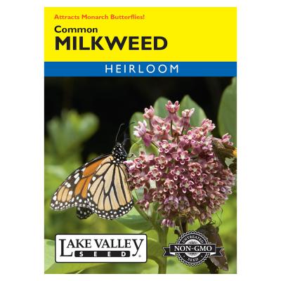 Lake Valley Seed Milkweed Common