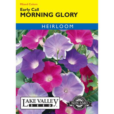 Lake Valley Seed Morning Glory Early Call Mixed