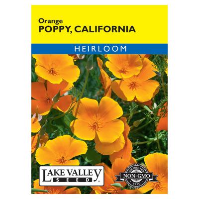 Lake Valley Seed Poppy California Orange