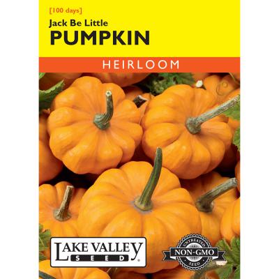 Lake Valley Seed Pumpkin Jack Be Little