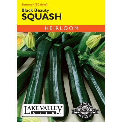 Lake Valley Seed Squash Black Beauty