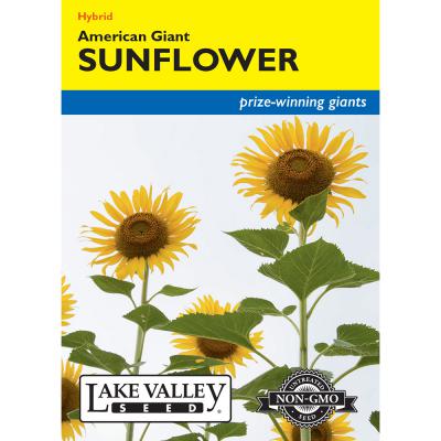 Lake Valley Seed Sunflower American Giant