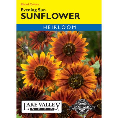 Lake Valley Seed Sunflower Evening Sun Mixed