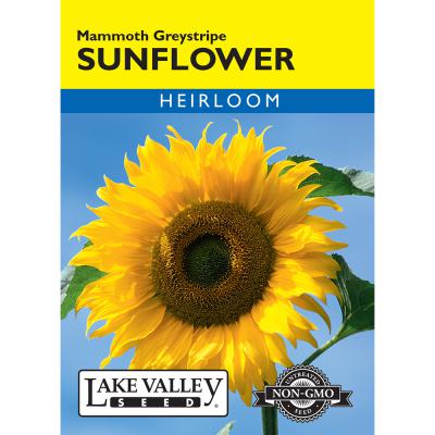 Lake Valley Seed Sunflower Mammoth Greystripe