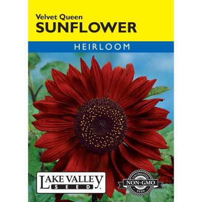 Lake Valley Seed Sunflower Velvet Queen