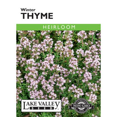 Lake Valley Seed Thyme Winter