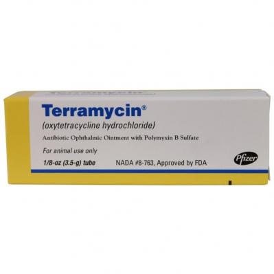 Terramycin Ophthalmic Ointment with Polymyxin B Sulfate 3.5 g.