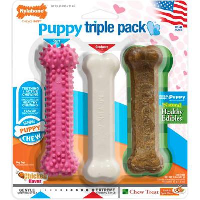 Nylabone Regular Puppy Triple Pack Chews & Lamb Flavor Treat