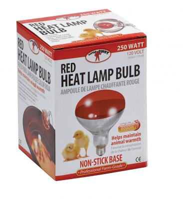 250 Watt Red Bulb For Brooder Lamp