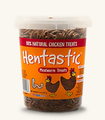 Hentastic Mealworm Treats 6 oz.