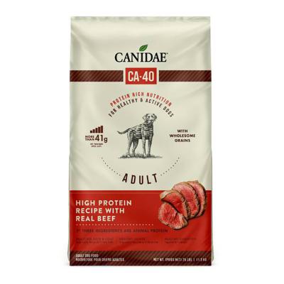 canidae-ca-40-high-protein-recipe-with-real-beef