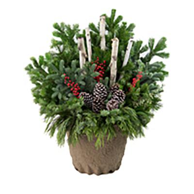 holiday-drop-in-planter-large