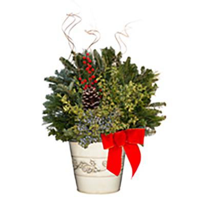 holiday-planter-12-inch-white-tin